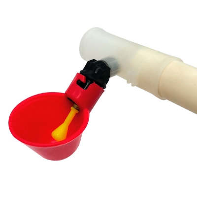 Фото: Чашечные поилки Chickie для кур и цыплят, 50 штук-7 Чашечные поилки Chickie для кур и цыплят, 50 штук-7